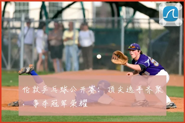 伦敦乒乓球公开赛:顶尖选手齐聚,争夺冠军荣耀